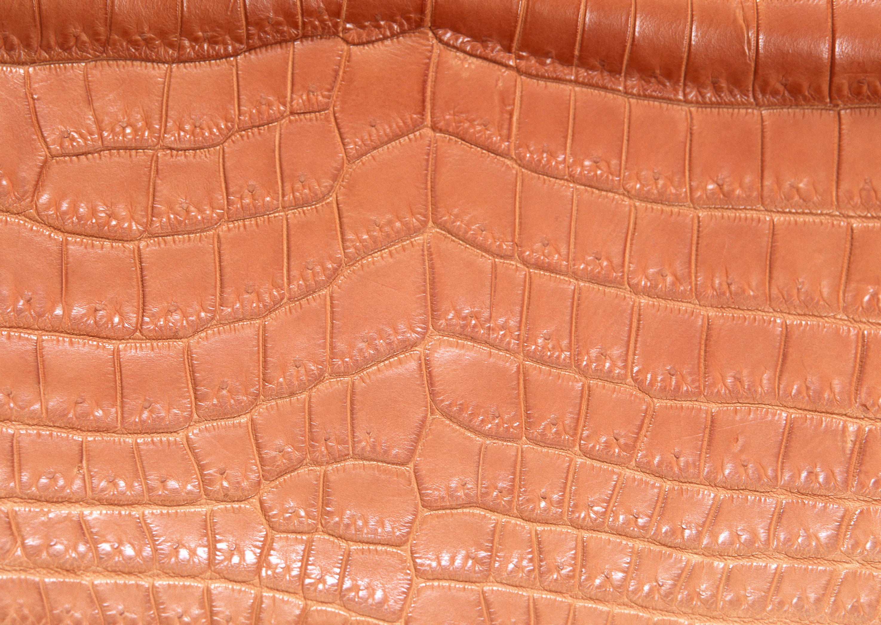 Brown snake leather texture background image download, snakes