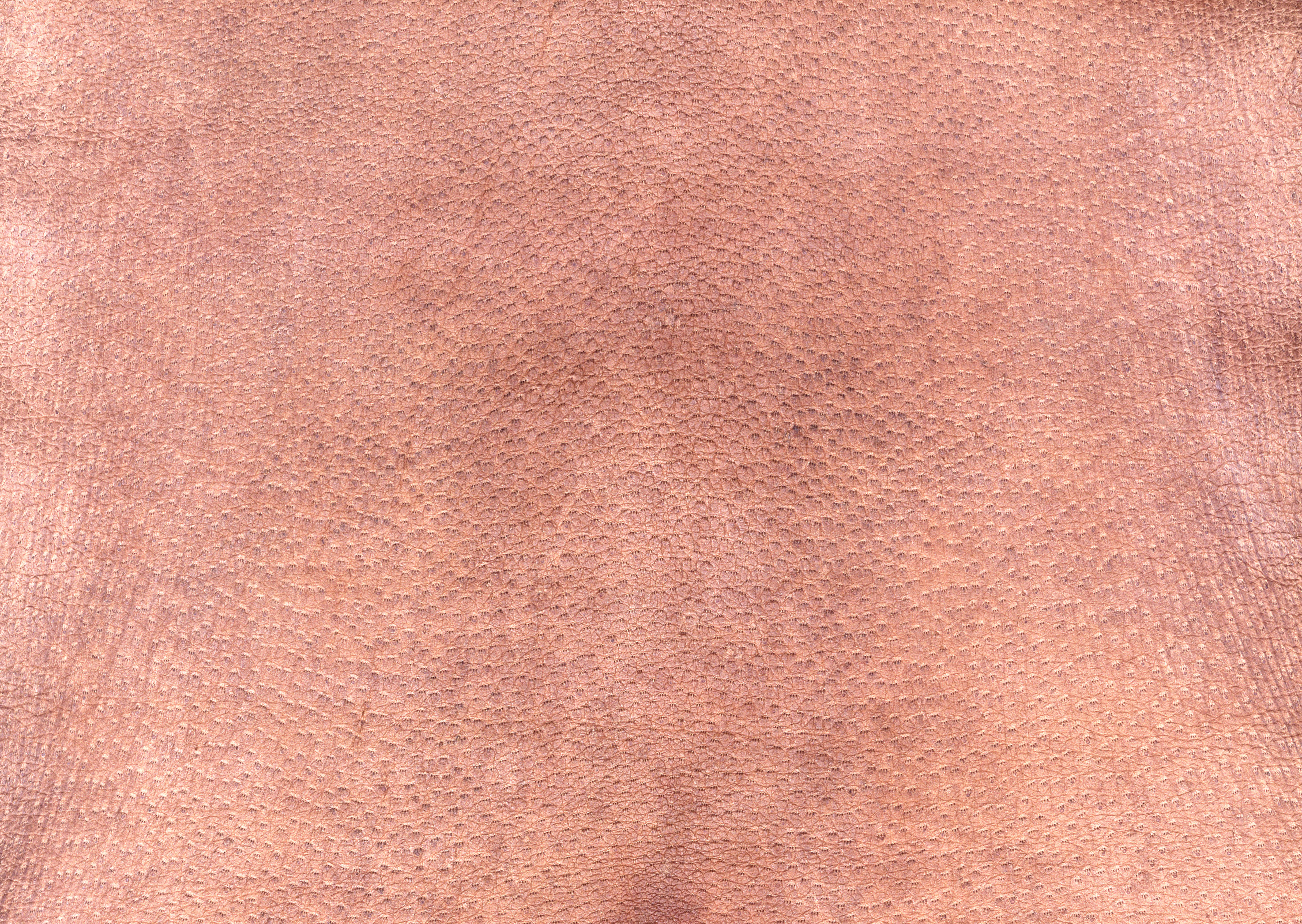 Leather texture background image