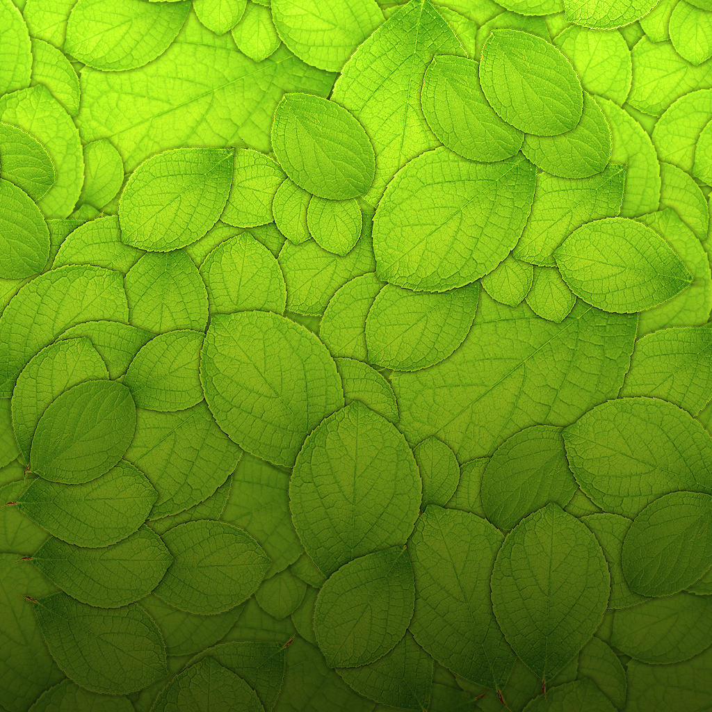 green leaves, download photo, green leaves background texture