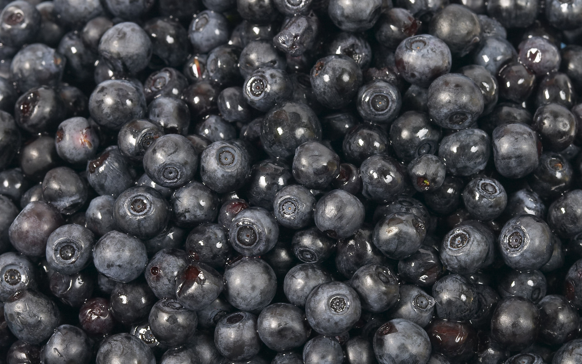 Blackberry, texture, photo, background