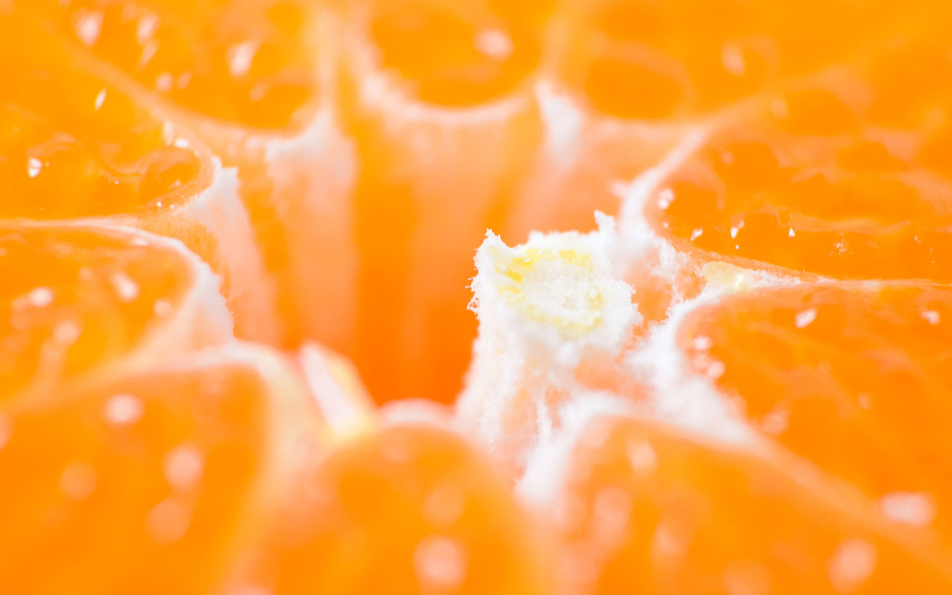 Oranges texture background