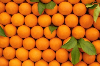Oranges texture background