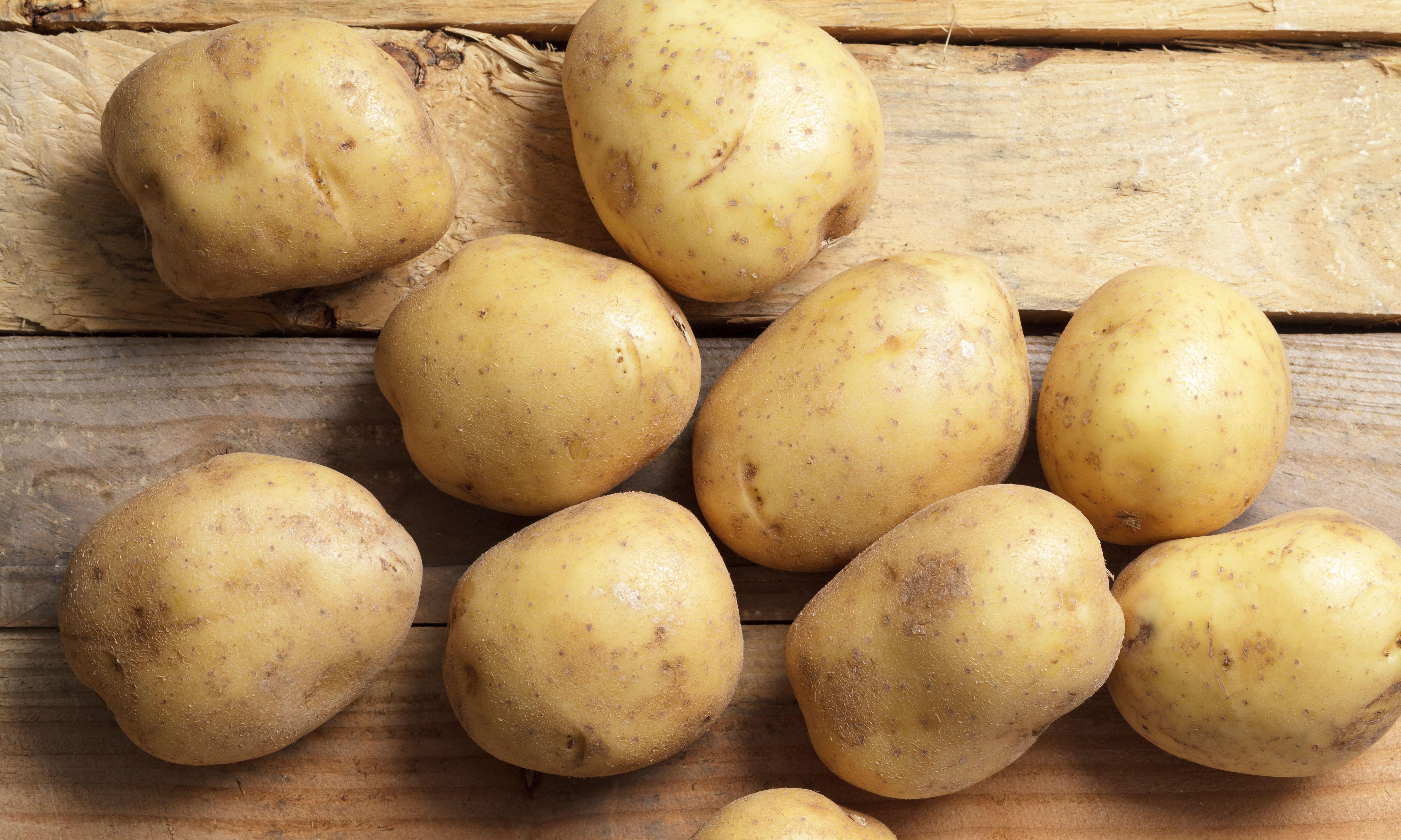 Картошка много картошки