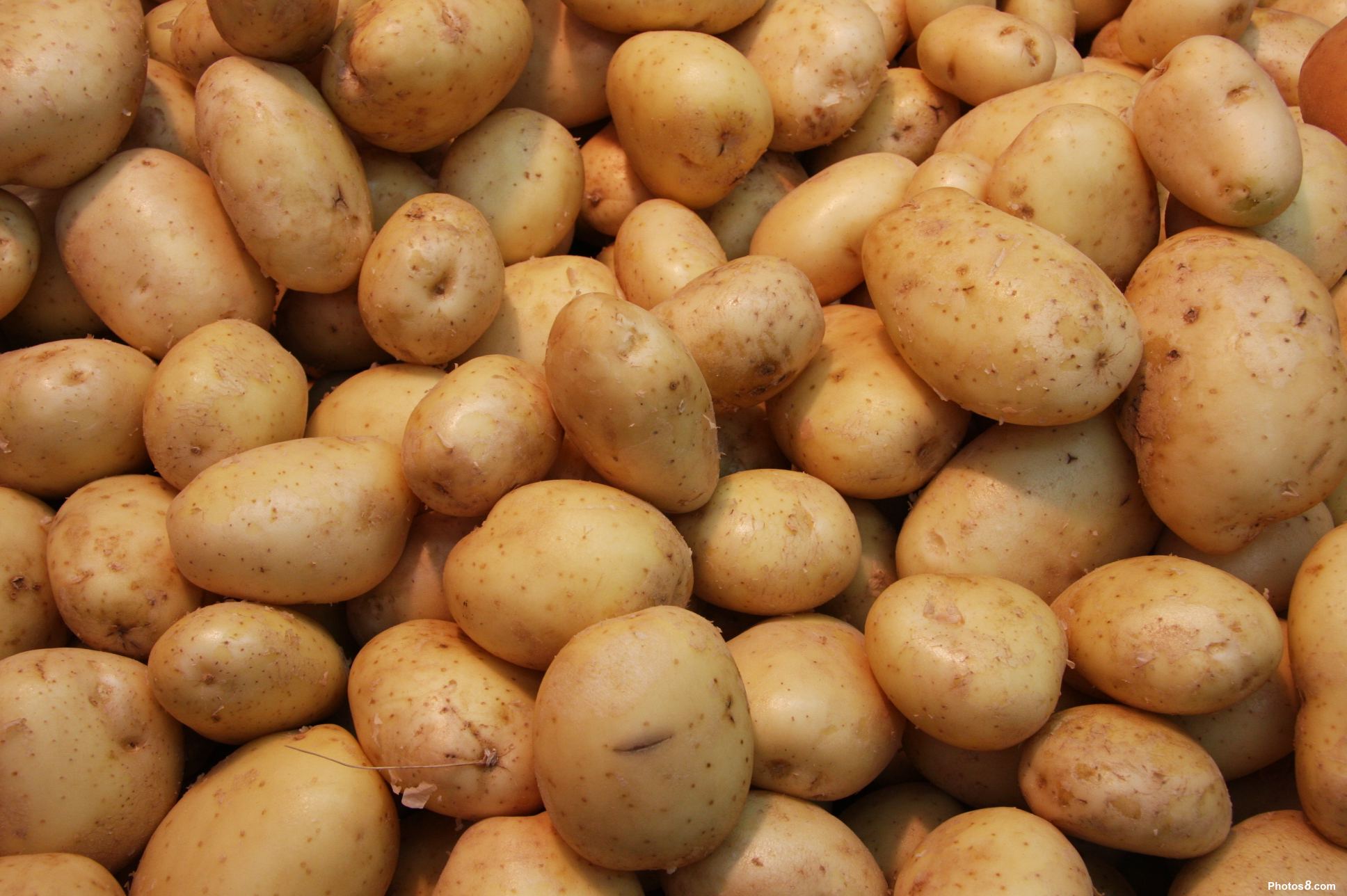 Potato texture background