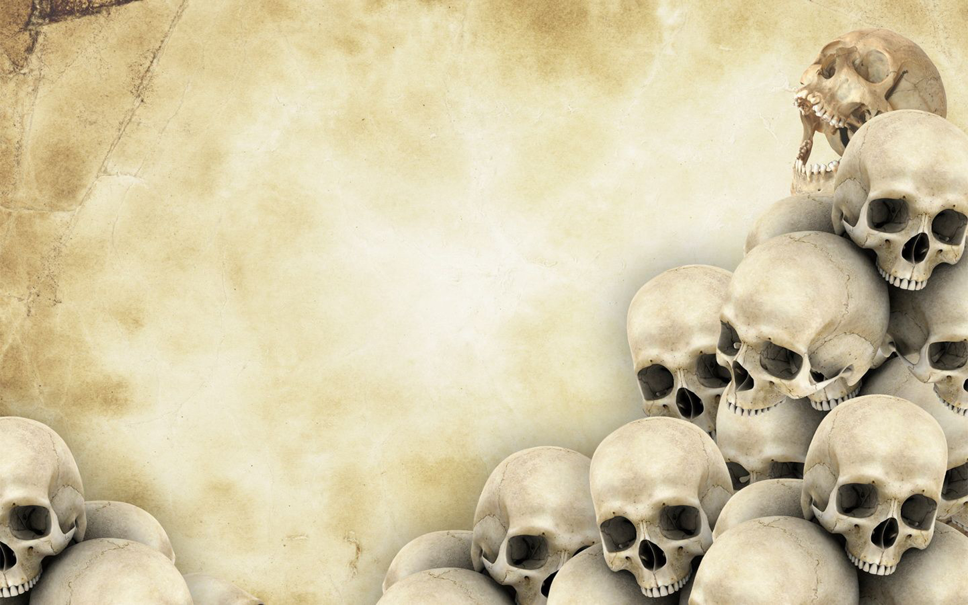 skull background , background, texture, photo, skulls on paper texture background