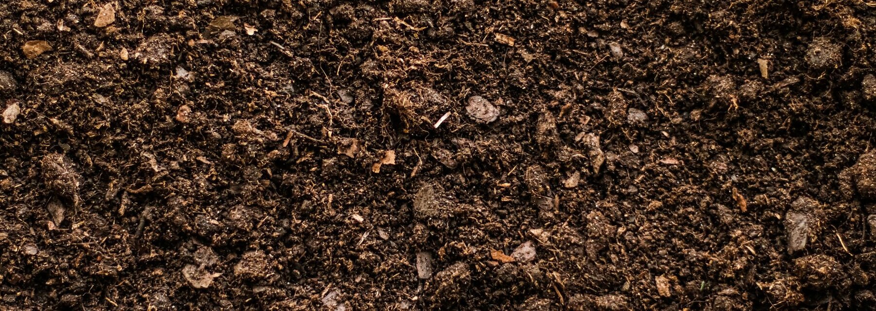 Soil, ground texture
