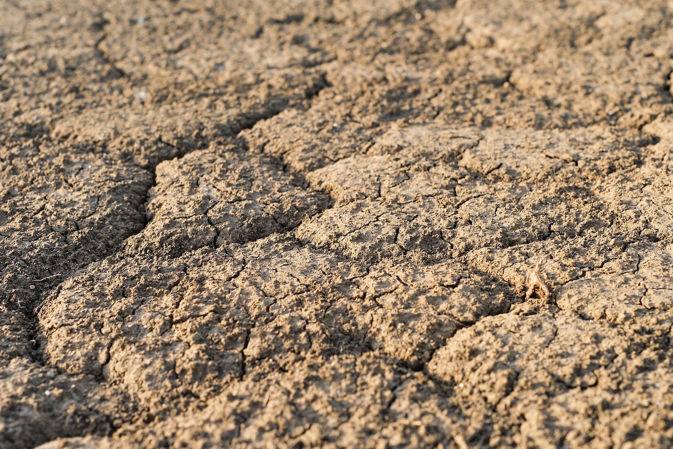 Soil, ground texture