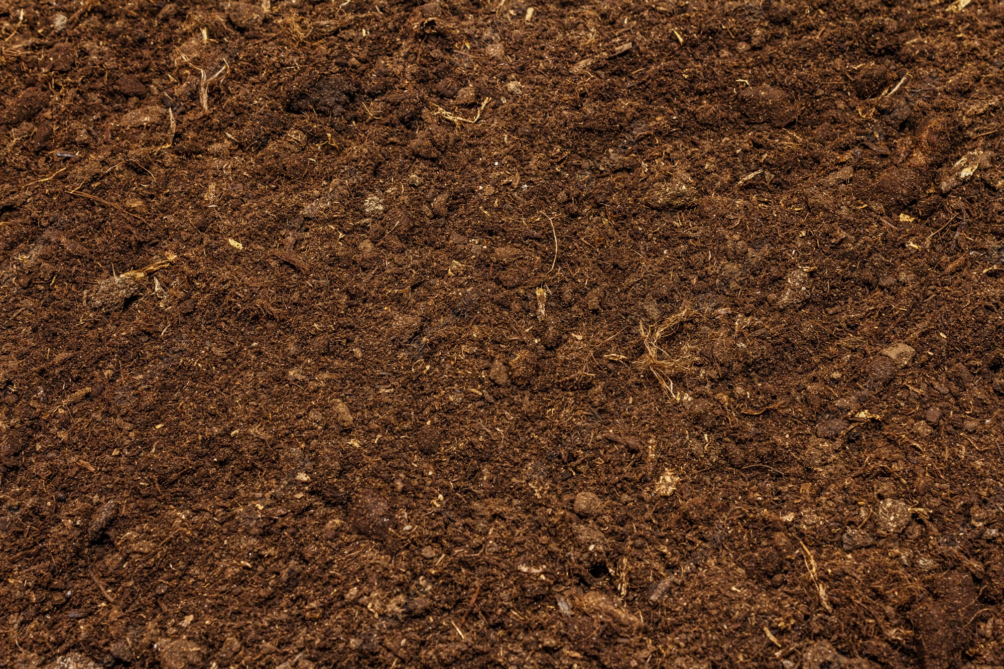 Soil, ground texture jpg