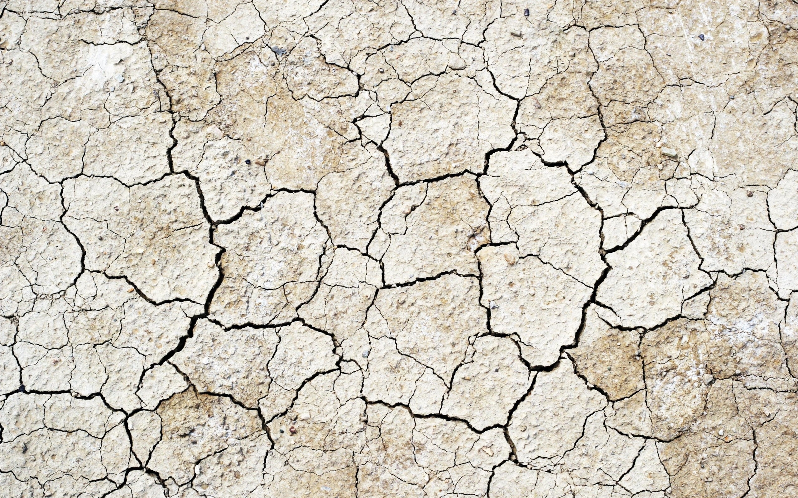 cracked ground earth, stone, texture, background, download background, image