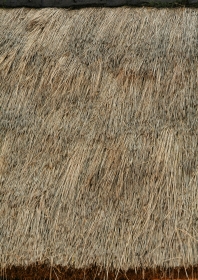 Thatched roof texture image