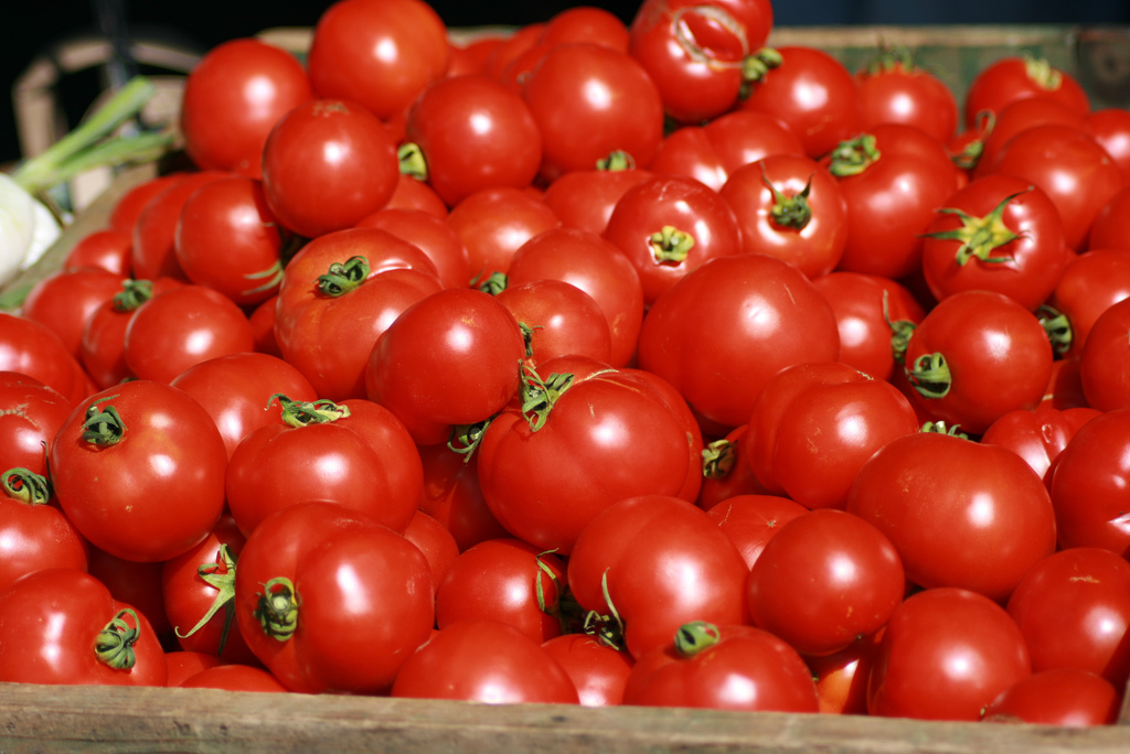 Tomatoes texture background