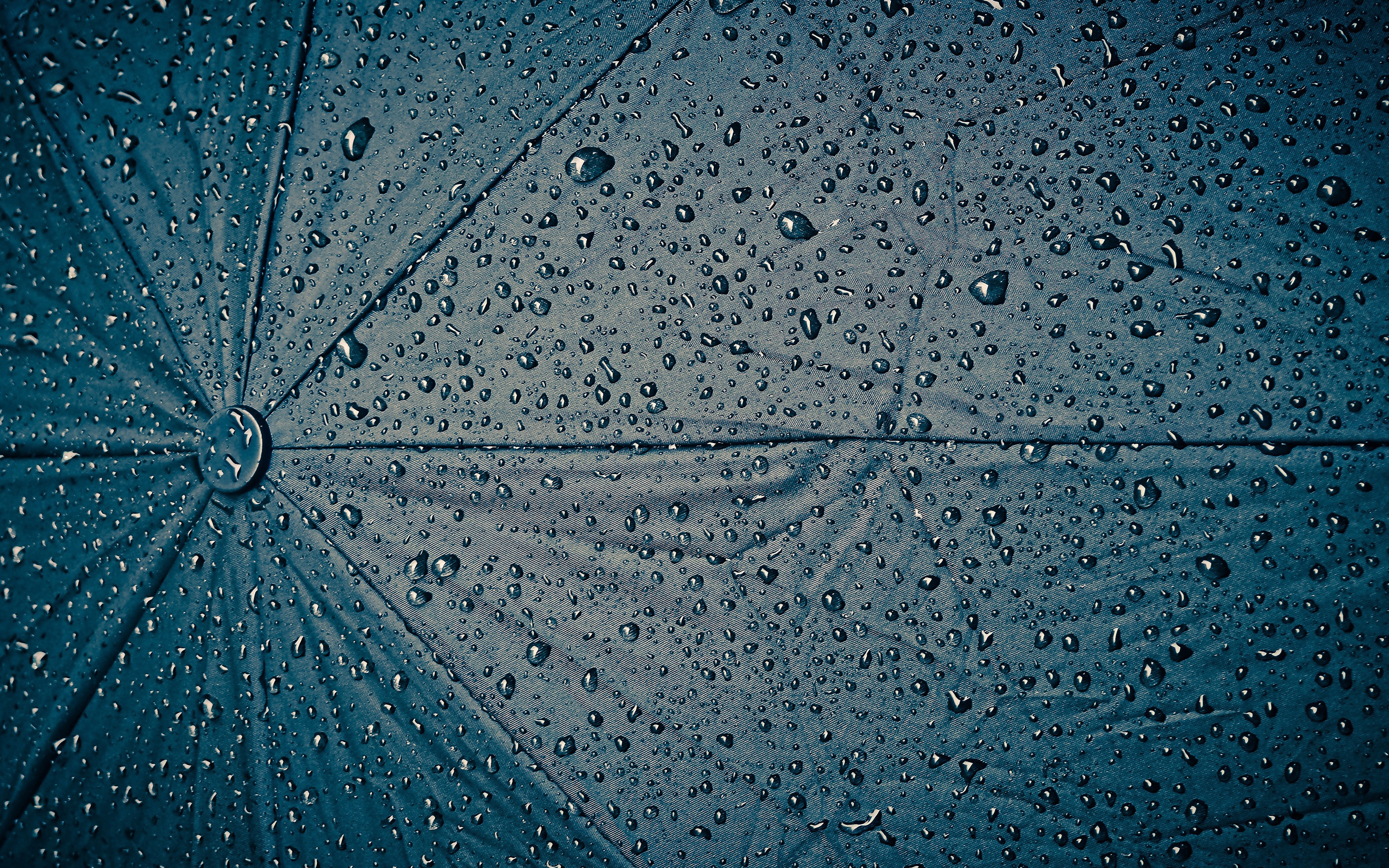 Umbrella texture 