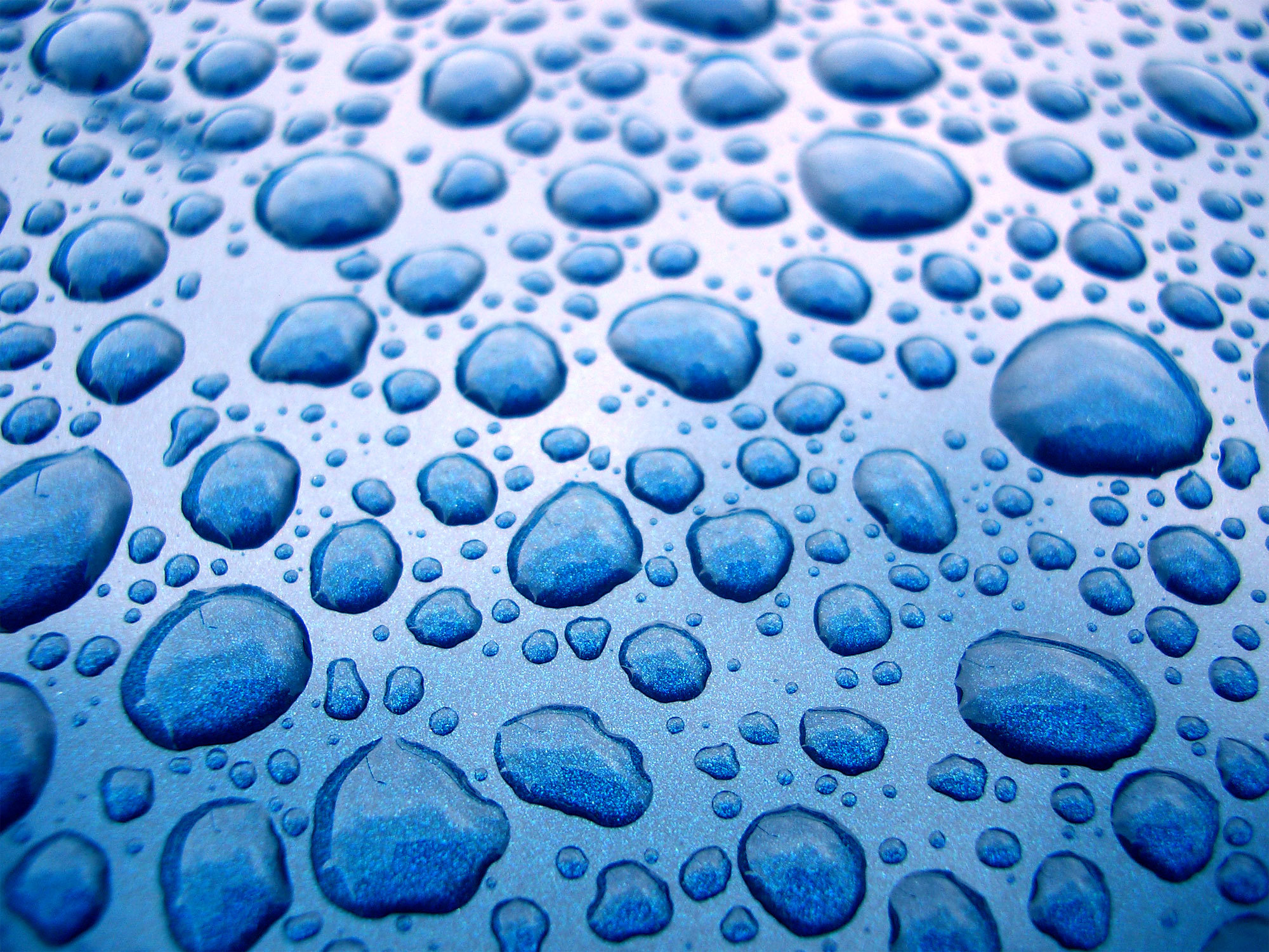 drops water, texture, download photo, background, water drops background texture