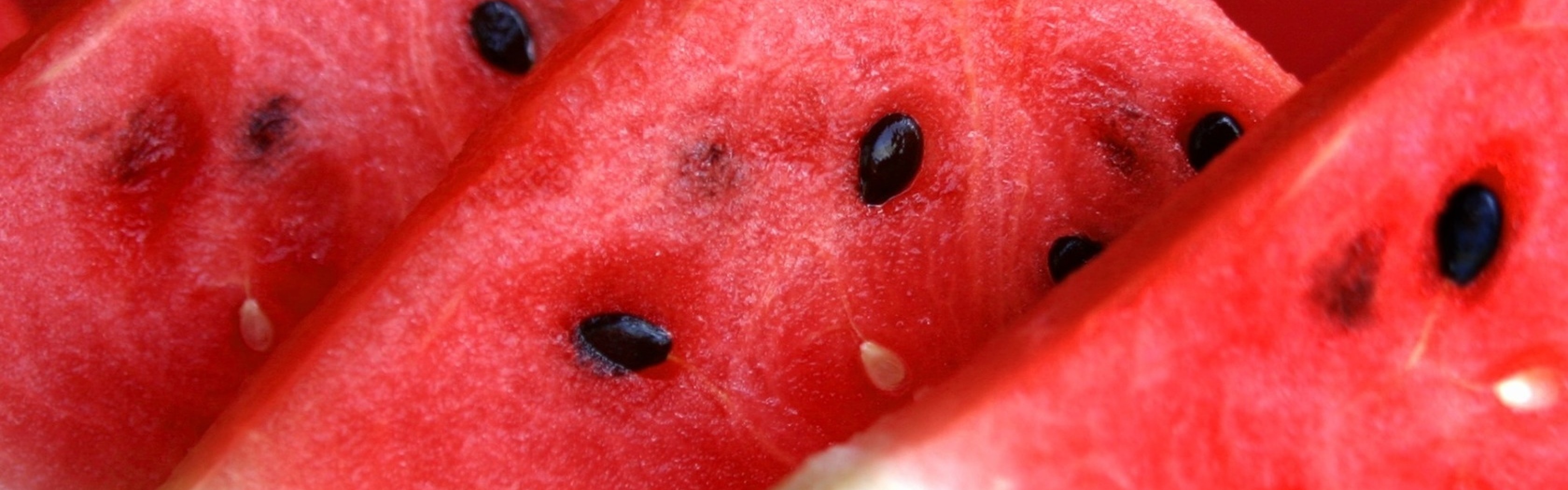 texture, download photo, background, watermelon texture