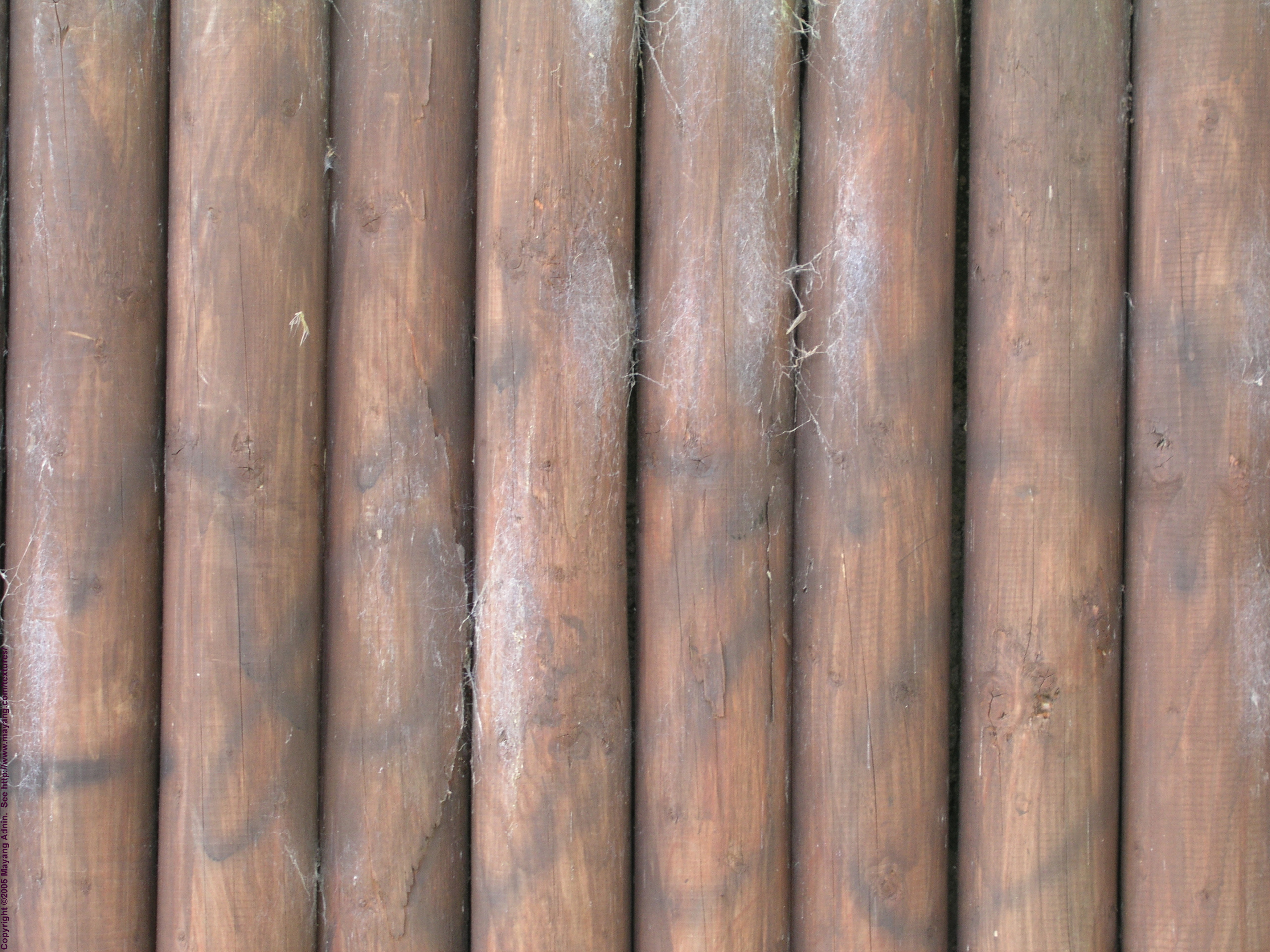 wooden texture tree wood, download photo, background, texture