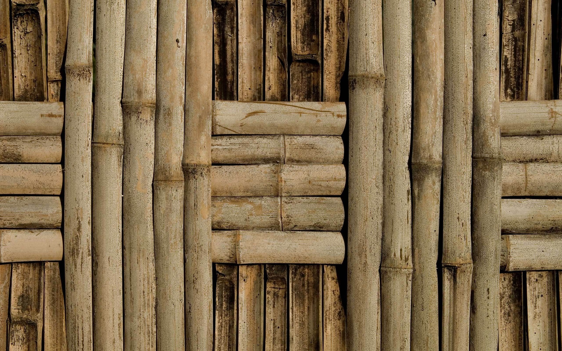 bamboo, download photo, tree wood, background, texture