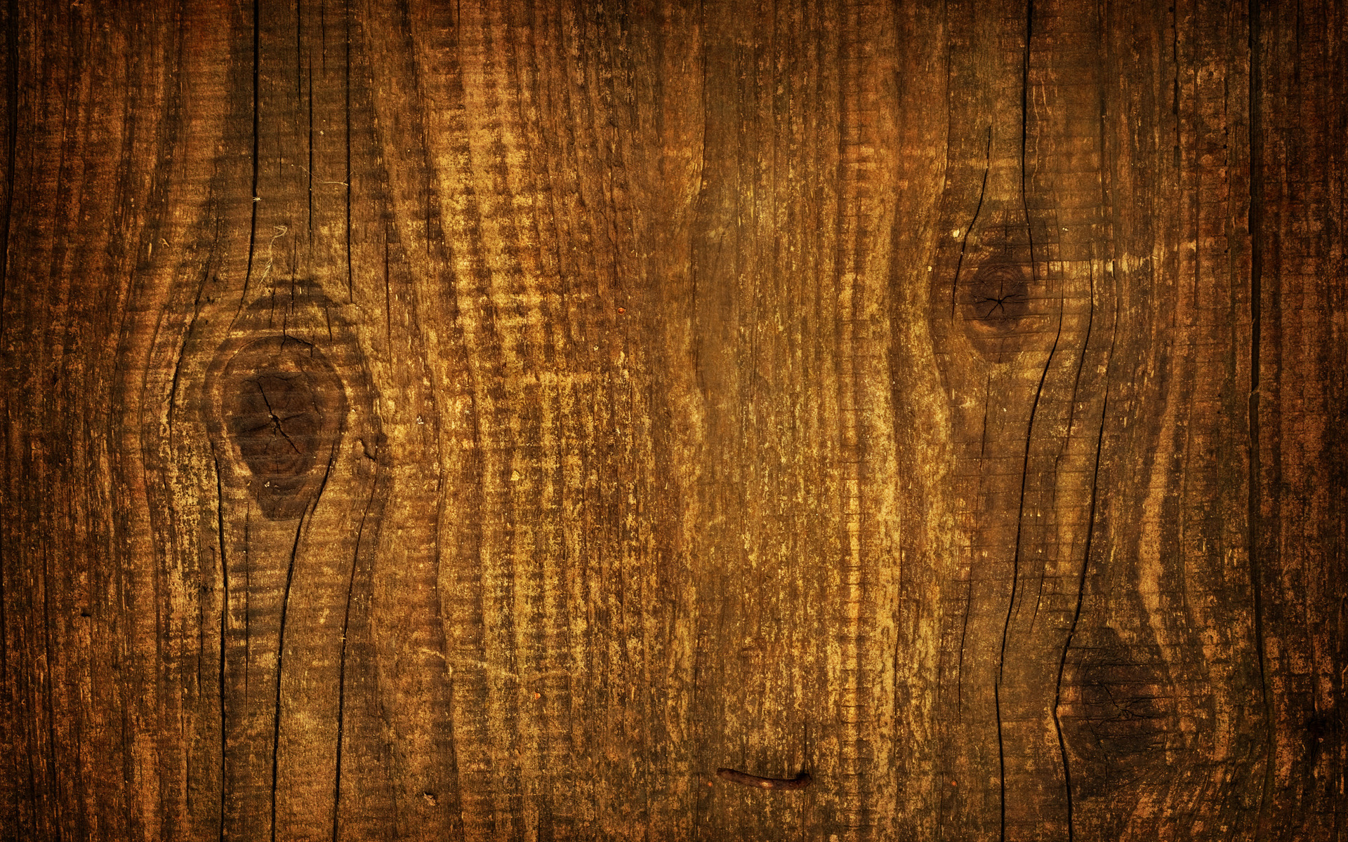tree wood, planking, download photo, image, background